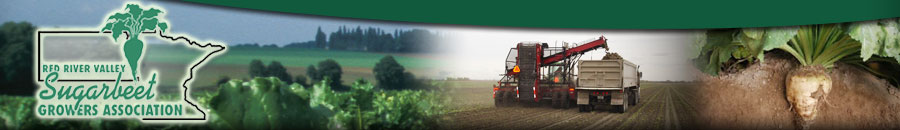 Layout Image